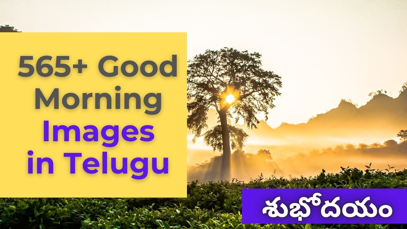 Good Morning Telugu Images