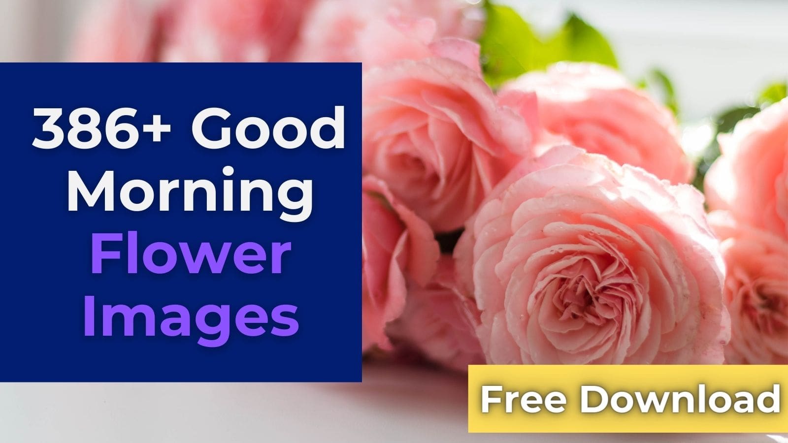good morning flower images free download
